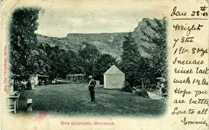 Mare: Tea Gardens, Cheddar, Weston-Super-Mare, England