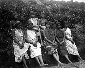 Picker: Tea pickers, Ceylon (Sri Lanka)