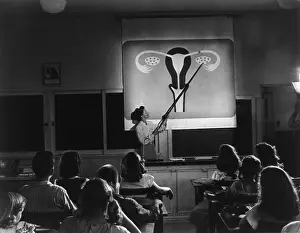 Reproductive: Teacher points to a diagram of female reproductive ?