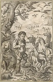 Hunchback: TEACHING THE ANIMALS