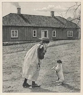 Doubt: TEACHING DOG TO BEHAVE