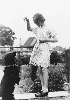 Haunches: TEACHING A DOG TRICKS