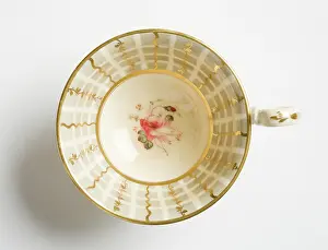 Hilditch: Teacup