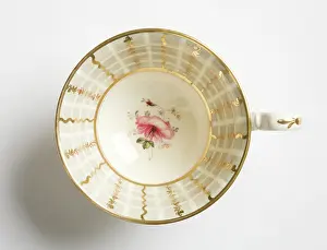Hilditch: Teacup
