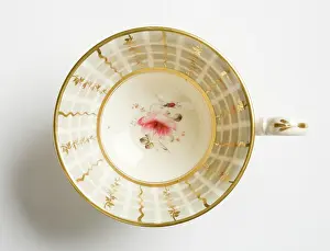 Hilditch: Teacup
