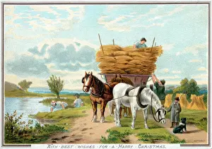 Sheaves: A team of shire horses pulling a harvest wagon