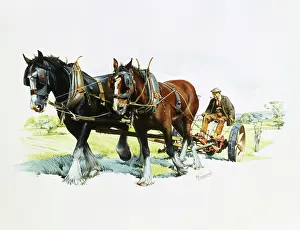 Brasses: A team of working horses at work