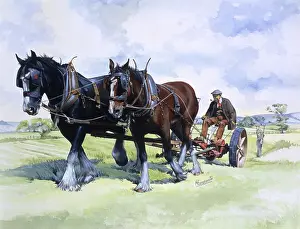 Brasses: A team of working horses at work