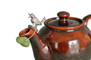 Drip: Teapot Drip Stopper