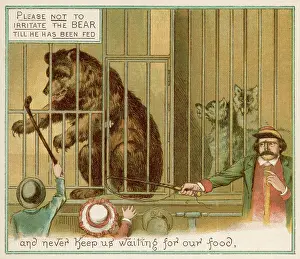 Zoos: TEASING THE BEAR