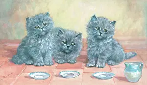 Teatime: Teatime