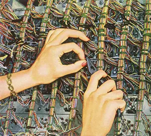 Manicured: Technician's Hands
