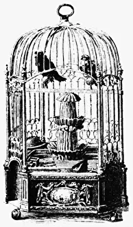 Gadgets: technics, mechanics, mechanism of a songbird