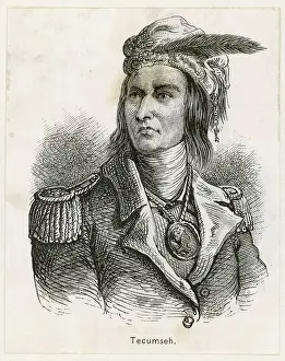 Tecumseh: Tecumseh, Native American chief of the Shawnee tribe
