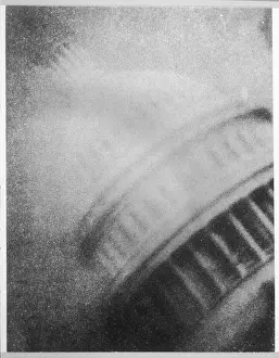 John Cutten: TED SERIOS PHOTO