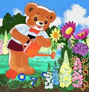 Geranium: Teddy Bear