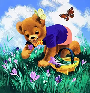 Teddy Bear