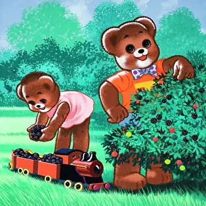 Blackberries: Teddy Bear