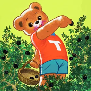 Blackberries: Teddy Bear