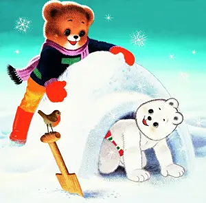 Igloo: Teddy Bear
