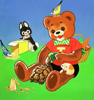 Hamster: Teddy Bear