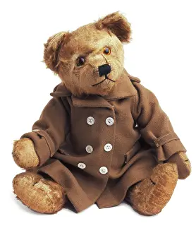 Amiable: TEDDY BEAR