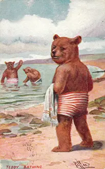 Pillard: Teddy bear on the beach
