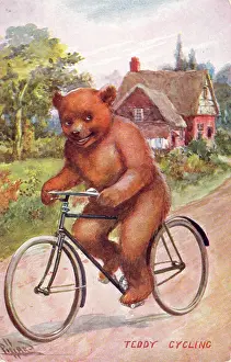 Pillard: Teddy bear on a bicycle