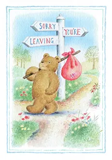 Sorry: Teddy Bear at Crossroads