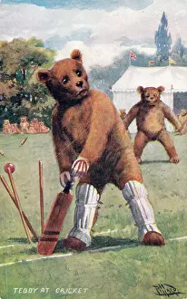 Batsmen: Teddy bear playing cricket