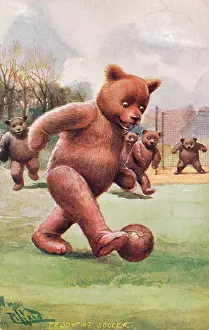 Pillard: Teddy bear playing football