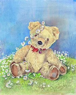 Martins: Teddy Bear surrounded by Daisies