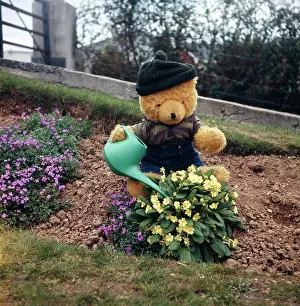 Benham: Teddy Bear Watering Primroses