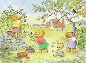 Blackberries: Teddy bears gathering blackberries & apples