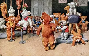 Parallel: Teddy bears in a gymnasium