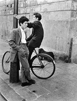 TEDDY BOYS/KENSINGTON