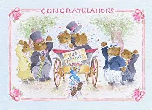 Teddies: Teddy bride & groom going away - Just Married