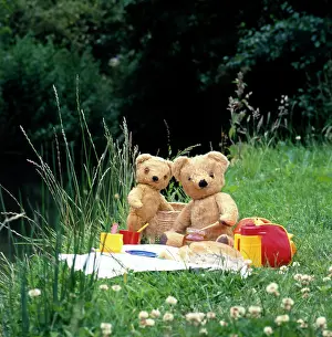 Picnics: Teddy and Eddie Setting Out Their Picnic