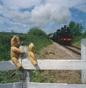 Spotting: Teddy and Eddie Go Train Spotting