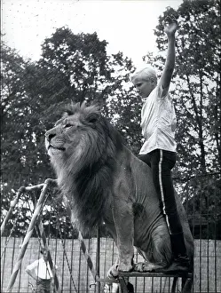 Newmann: Teddy Newmann with circus lion