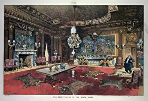 Countenance: The Teddyfication of the White House