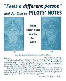 Memoranda: Tee Emm Pilots Notes Spoof Ads
