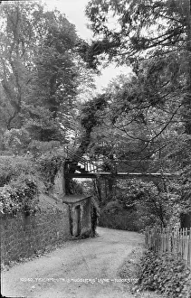 Charming: Teignmouth Smugglers Lane