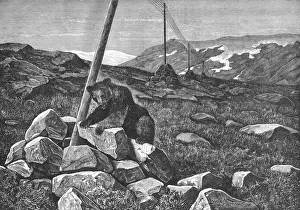 Investigates: TELEGRAPH WIRES