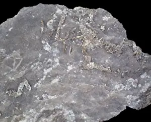 Elemental: Tellurium