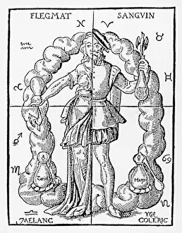 Phlegmatic: FOUR TEMPERAMENTS 16C