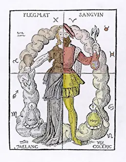 Phlegmatic: Four Temperaments