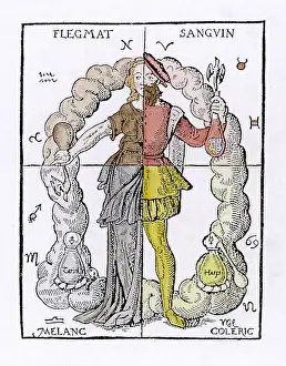 Phlegmatic: Four Temperaments