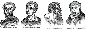 Combined: The four temperaments: Nervous, Sanguine, Bilious