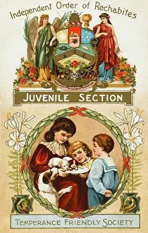Abstinence: Temperance Friendly Society Postcard
